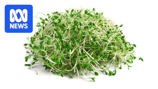 Health authorities issue a nationwide recall of various alfalfa sprouts due to salmonella outbreak