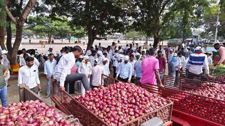 Nashik: Onion Prices Rise To ₹2,200 Per Quintal As Supply Declines Post