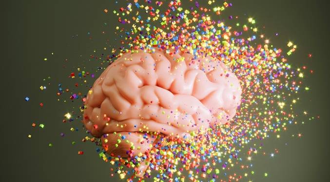 El cerebro humano tiene 5 eras clave marcadas por cuatro cambios drásticos