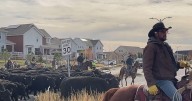 Hundreds attend annual cattle drive through south Denver metro area community