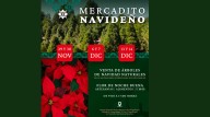 Invitan al mercadito navideño a realizarse en el Parque Barranca Chapultepec