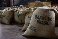 Trump retira aranceles al café, plátano y carne de res