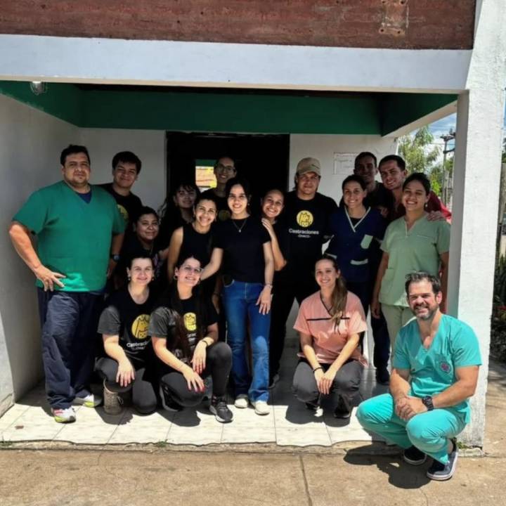 PUERTO VILELAS: Exitosa Jornada De Castración Masiva Con 98 Animales Intervenidos