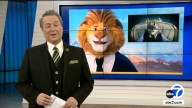 'Zootopia 2' invites ABC7's George Pennacchio to lend his roaring best voice to the cast of the new Disney sequel