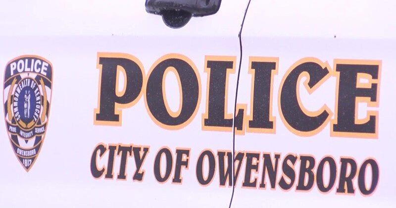 OPD investigating string of car break