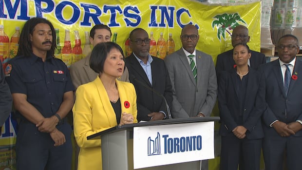 Toronto launches new Jamaica hurricane relief donation portal