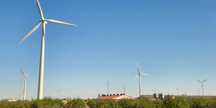 COP30: cuál es la hoja de ruta para avanzar en el financiamiento climático y la protección del ecosistema