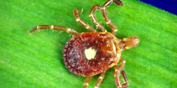 A fathers sudden death leads UVA researchers to a chilling discovery about Alpha