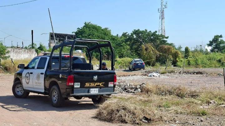 Hallan cadáver colgado de árbol en Mazatlán