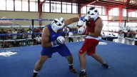 Toluqueños competirán en el torneo de Box “Fuego en los Señoríos”