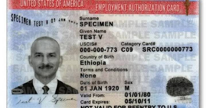 DHS elimina extensiones automáticas de permisos de trabajo