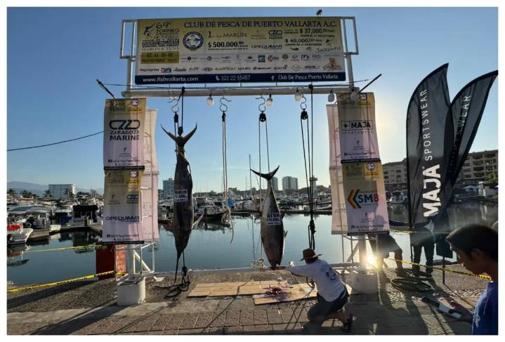 Concluye el primer día del 69° Torneo Internacional de Pesca de Puerto Vallarta