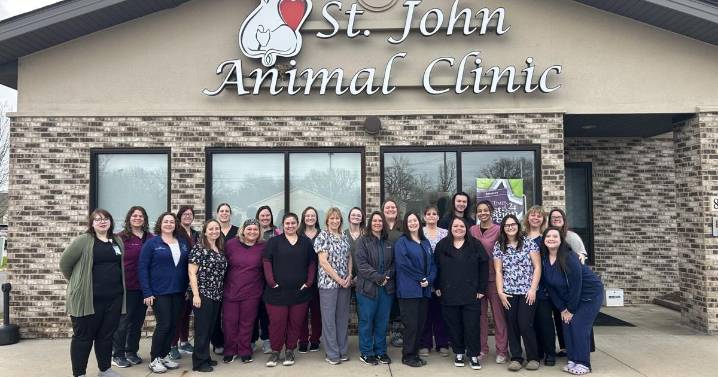 Get Healthy: Signs your dog or cat is not feeling well and what to do about them