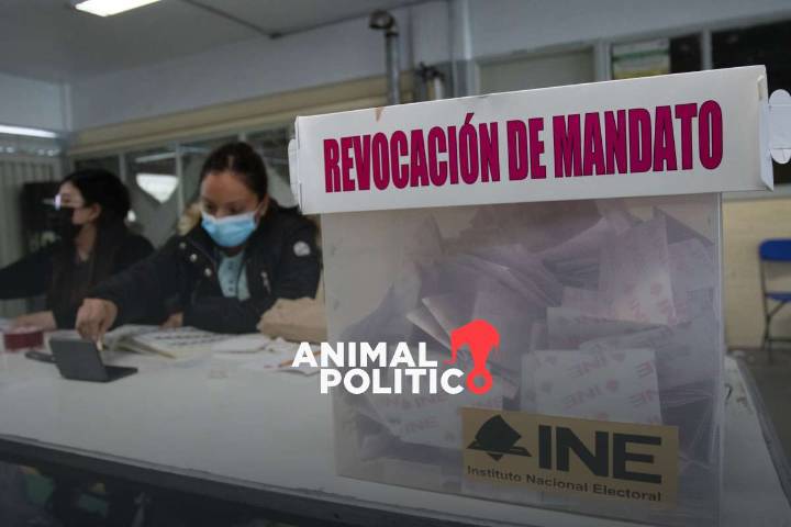 Adelantar revocación de mandato impulsaría la imagen de Sheinbaum, advierte Laboratorio Electoral