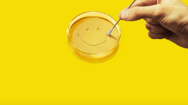 Vince Gilligan: Pluribus was inspired by "quasi-legit" science and Caribbean fish