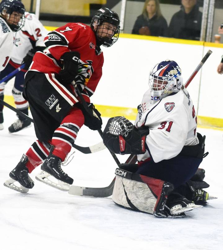 Hawks snap losing slide with thrilling OT win