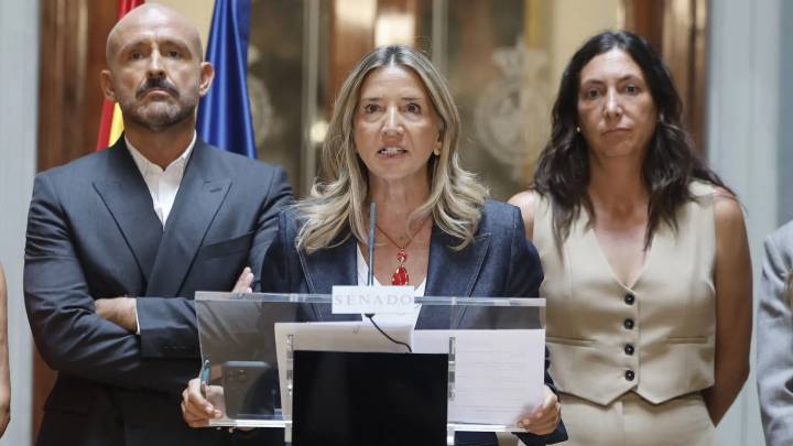 El PP prosigue su ofensiva en el Senado contra la okupación con comparecencias de expertos, afectados y alcaldes