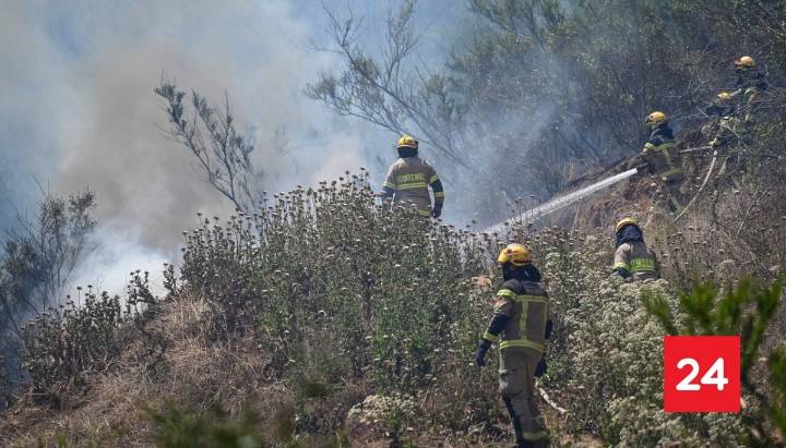 Declaran Alerta Roja en Melipilla por incendio forestal: piden evacuar sector Culiprán