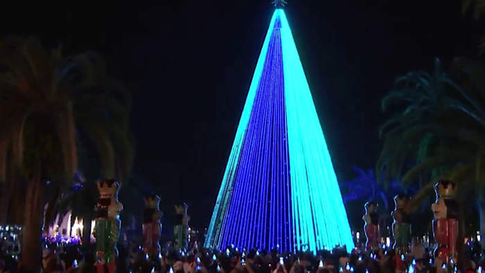 Crews begin installing Christmas tree at Lake Eola in downtown Orlando