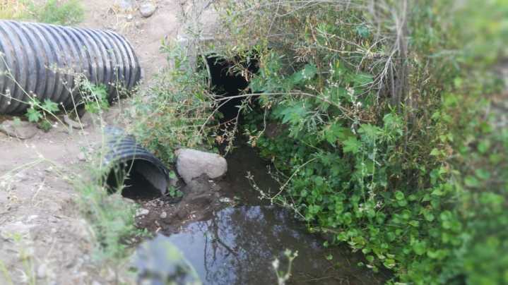 Denuncian tomas de agua y bloqueos ilegales en el cauce del río Las Tumanas
