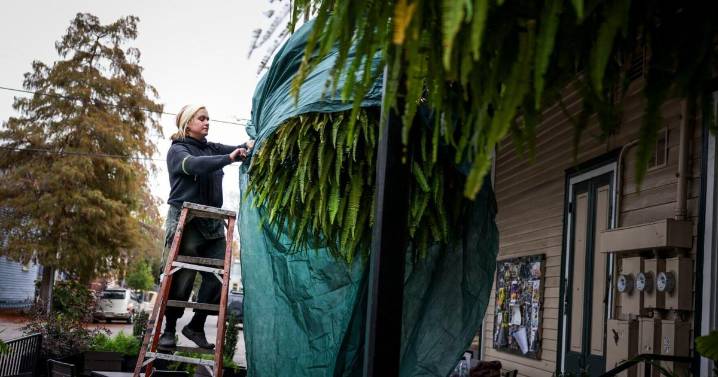 Weather forecast: First 2025 freeze warning near New Orleans