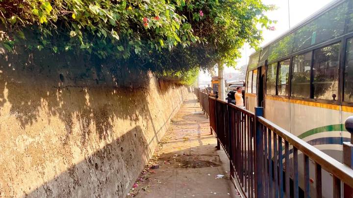 Mumbai: Goregaon footpath becomes walkable after BMC clears overgrown trees