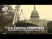 U.S. Capitol Christmas Tree 'Silver Belle' arrives in D.C. after cross