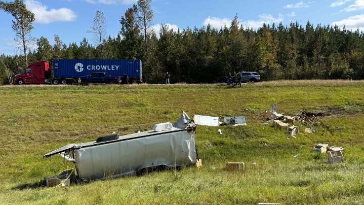 Mississippi woman kills escaped monkey fearing for her children's safety