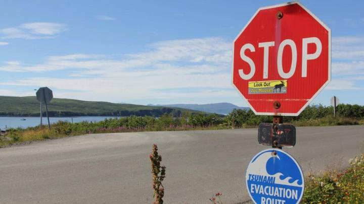 NOAA cancels funding for data collection crucial to tsunami warning systems