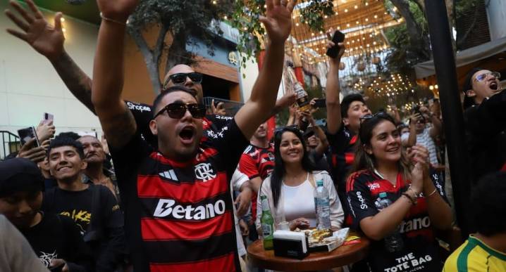 Final Copa Libertadores: "Una final para ver de pie": el Lado B del Flamengo vs Palmeiras y por qué tantos padres cumplieron el sueño de ir al estadio con sus hijos