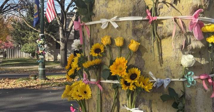 Neighbors establish memorial for child who died in Harrison Blvd collision