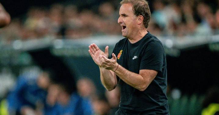 Arrasate elige a sus preferidos para el amistoso entre Euskadi y Palestina