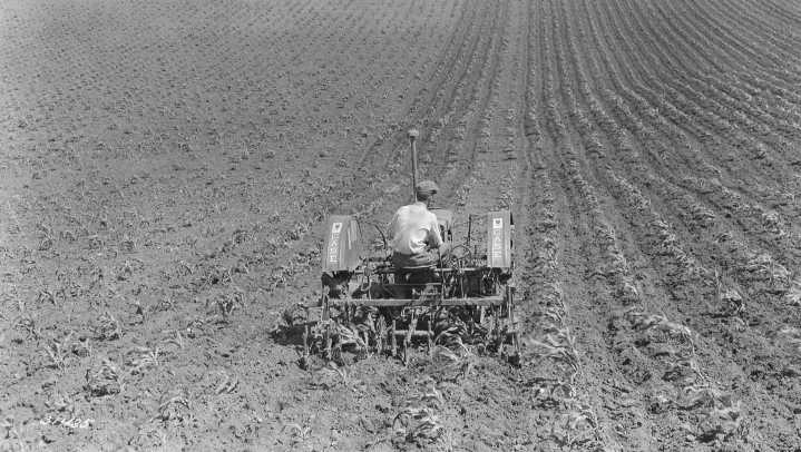 From the archives: Iconic Iowa farm photos since 1930