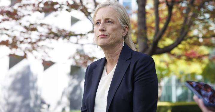 New AI plan for the APS sets out expectations for contractors