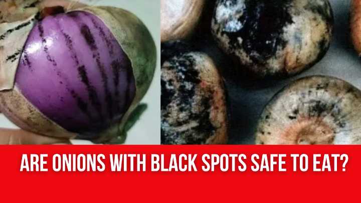 Are Onions With Black Spots Safe To Eat?
