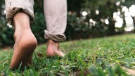 I took my shoes off and went for a barefoot hike. I couldn’t believe what happened next