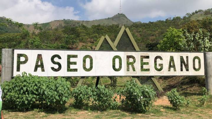 Primer festival de Yoga Vital  Paseo Orégano en el Morro II