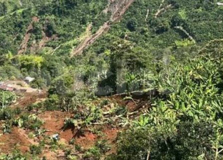 Pueblorrico, Antioquia, sigue en alerta por deslizamientos: más de 40 animales han sido rescatados