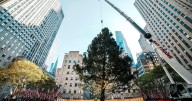 Árbol de Navidad del Centro Rockefeller llega a Manhattan, iniciando la temporada festiva en NY