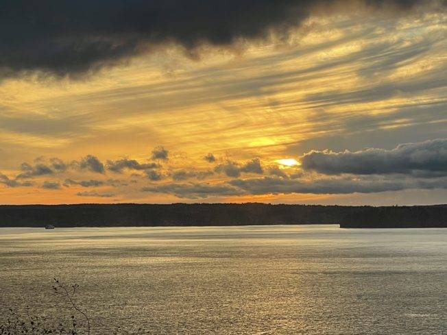 West Seattle Blog… | TRAFFIC CAMS, WEATHER, TRANSIT: Veterans Day Tuesday