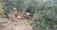 Autobús vuelca en carretera de Oaxaca y deja 29 heridos: ¿Qué causó el accidente; falla mecánica o exceso de velocidad?