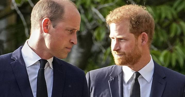 Prince William and Prince Harry tread very different paths