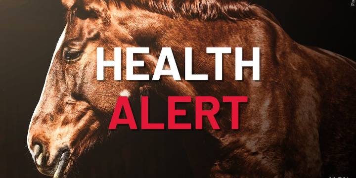 Florida issues horse health alert after Texas viral outbreak