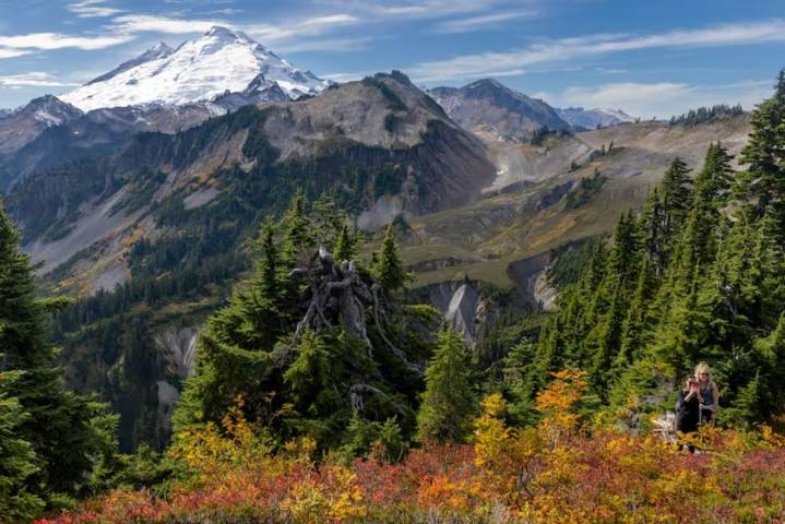 USFS restarts effort to change Pacific Northwest forest policy