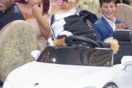 Dogs Command the Catwalk — One In His Own Car — In Houston’s Rocking $1.1 Million Celebrity Paws Night