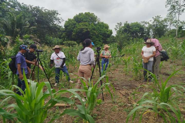 Cine contra el centralismo: la periferia colombiana encuentra su voz en la gran pantalla