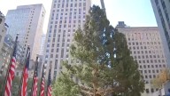 Rockefeller Center Christmas tree arrives in Manhattan