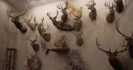 Artistry and attention to detail bring Montana hunting memories to life