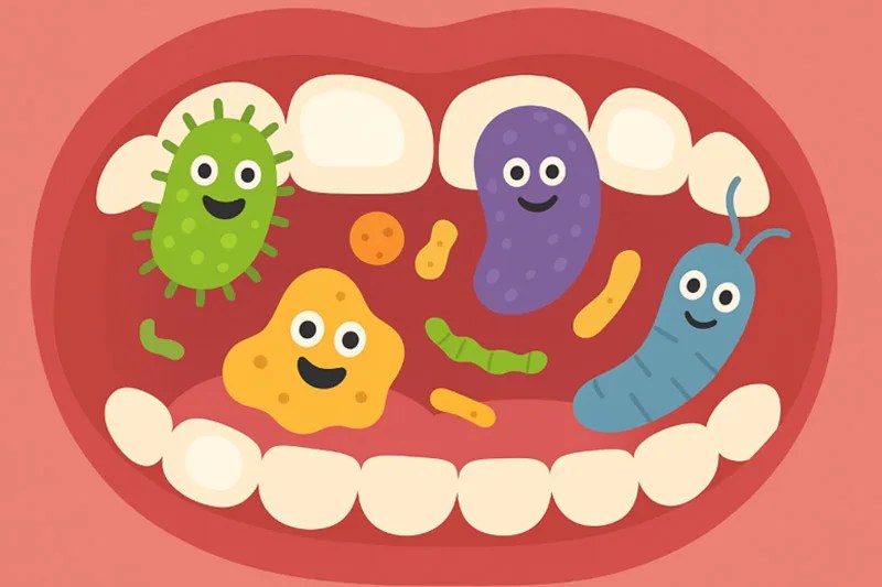 El mundo oculto de los microbios bucales: cómo influyen en tu salud oral