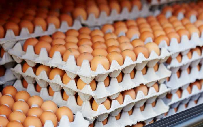 Egg Prices Soar to Record Levels in Maharashtra Amid Winter Demand and Shrinking Supply